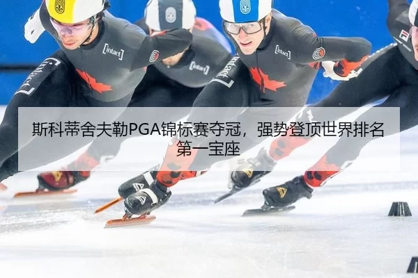 si-ke-di-she-fu-lei-jin-biao-sai-duo-guan-qiang-shi-deng-ding-shi-jie-pai-ming-di-yi-bao-zuo-3-459.jpg