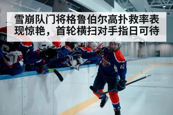 hockey playoff game