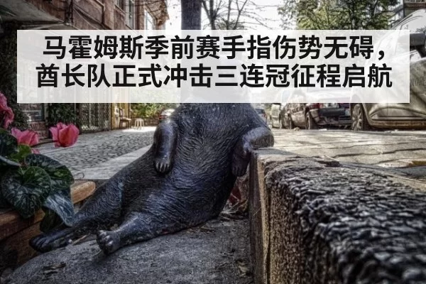 马霍姆斯季前赛手指伤势无碍,酋长队正式冲击三连冠征程启航